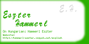 eszter hammerl business card